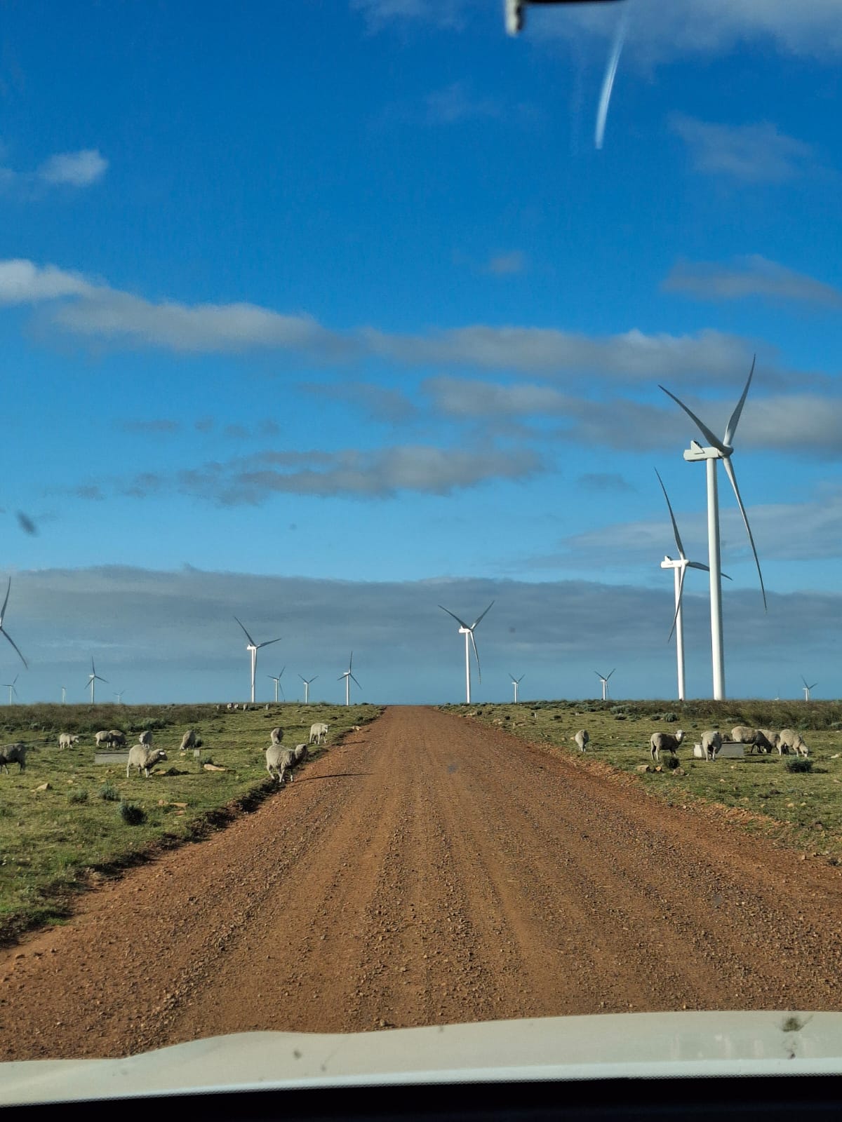 Gravel access road through a South African wind farm, turbines on the horizon